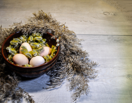 Easter egg natureの写真素材