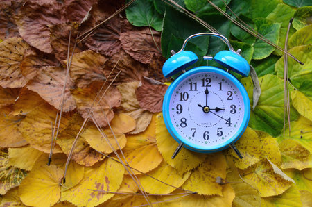 Blue clock on colorful background of leaves