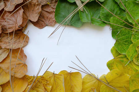 Leave a message on this autumn frame with colorful season leavesの写真素材