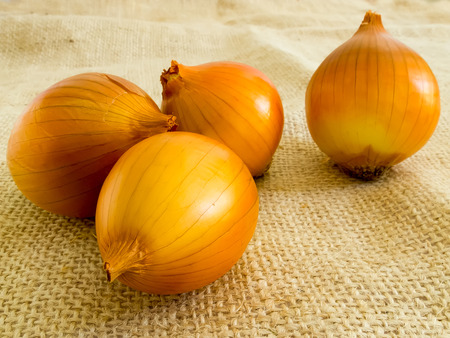 Four onions placed on sackcloth as a backgroundの写真素材