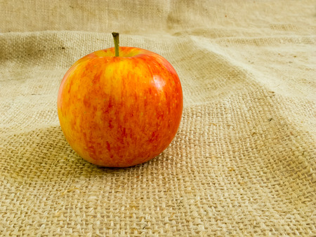Fresh single red apple on the sackclothの写真素材