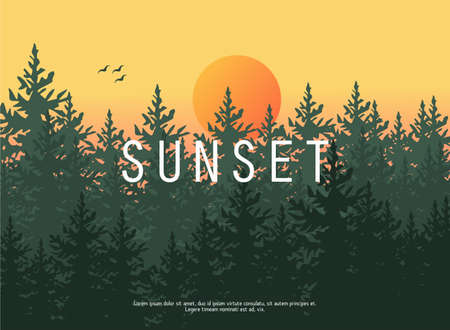Sunset Views in forest vector best for background or illustrationのイラスト素材