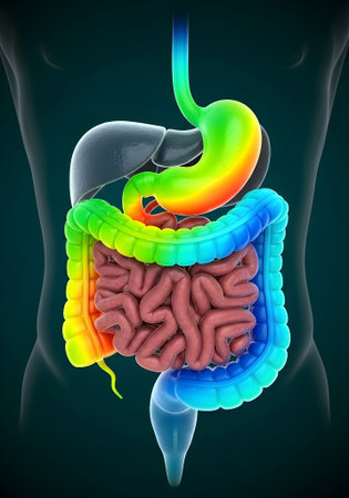 GI pH Heatmap - Stomach to Colon pH Mapの素材