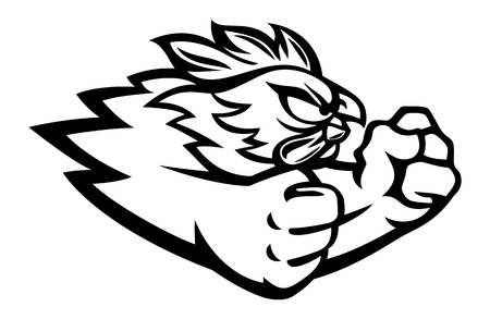 Fighting rooster cartoon character isolated on whiteの写真素材