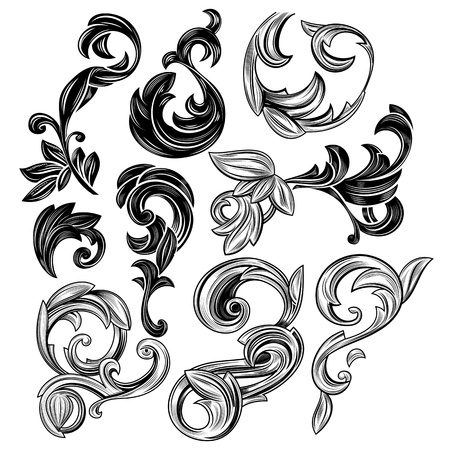 Set of floral design elements isolated on whiteの写真素材
