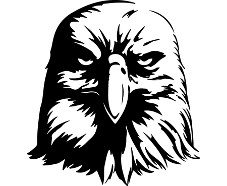 Angry Eagle. Digital Drawingのイラスト素材