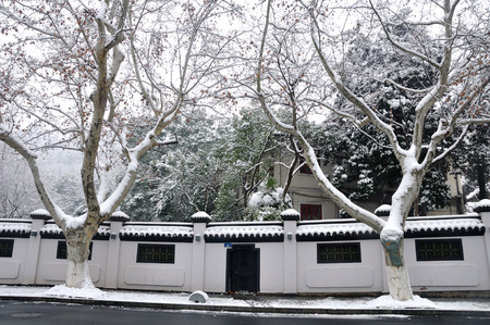 Winterのeditorial素材