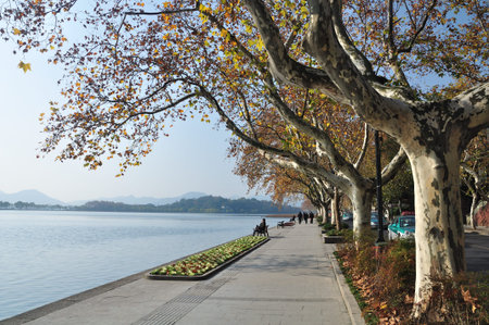 The West Lake scenic areaのeditorial素材