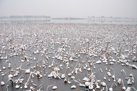 Hangzhou West Lake snowの写真素材