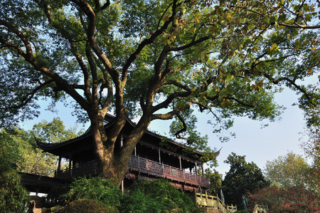 Garden view of an ancient buildingのeditorial素材