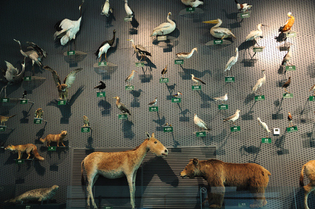 China Wetland Museumのeditorial素材