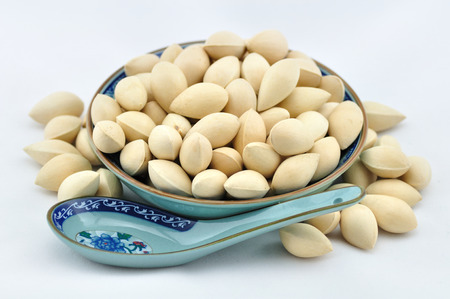 Ginkgoの写真素材