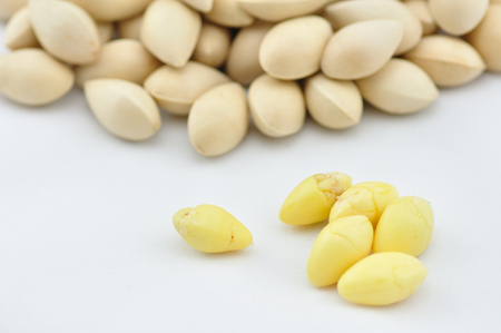 Ginkgoの写真素材