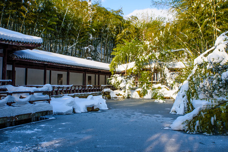 snow sceneのeditorial素材