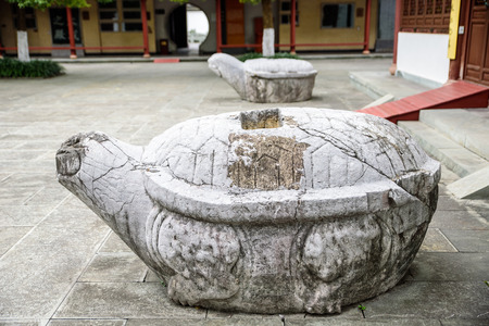 Turtle stoneのeditorial素材