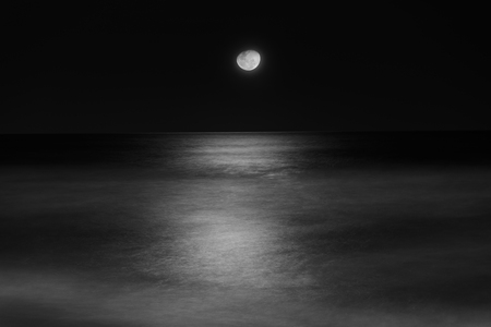 Pale Moon risesの写真素材