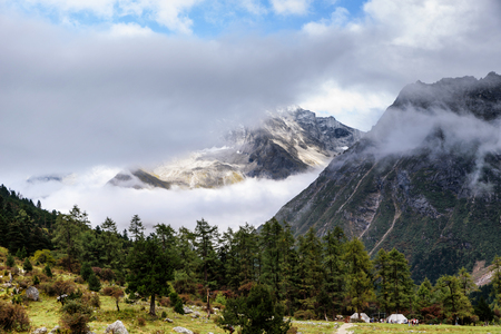 mountain range landscape viewの写真素材
