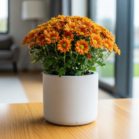 Capture the essence of nature indoors with this vibrant image showcasing a potted arrangement of orange chrysanthemums The flowers with their rich warm hues and delicate petals burst forth from a sleek cylindrical white pot creating a stunning contrast against the modern backdrop of a light wooden table and blurred window The composition is clean and inviting evoking a sense of tranquility and natural beauty Perfect for interior design publications gardening blogs or any project seeking to convey freshness warmth and the simple elegance of floral decor Use this image to enhance your creative projects with a touch of natural splendor The close up view showcases the detail of each individual bloom with healthy green foliage completing the natural lookの素材