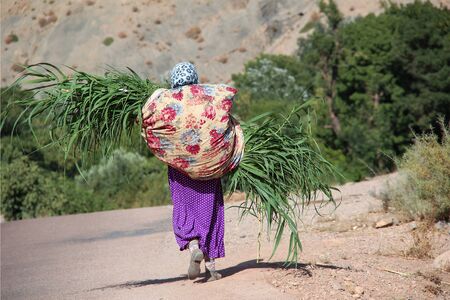 This woman is carrying here harvest, some maize, on her back.の写真素材