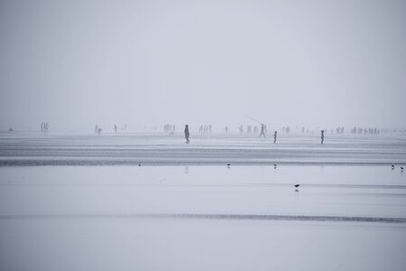 Atlantic coast early in the morning.の写真素材