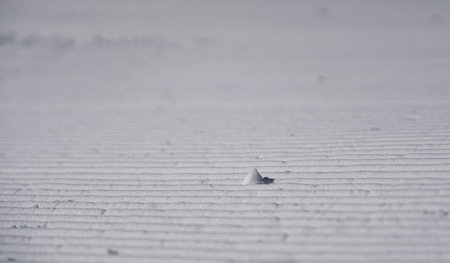 Pattern of the snow in a freshly groomed ski slope in St.Anton, Austria.