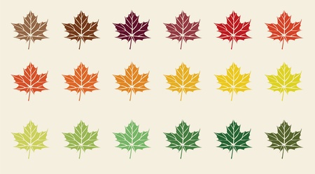 colorful maple leavesのイラスト素材