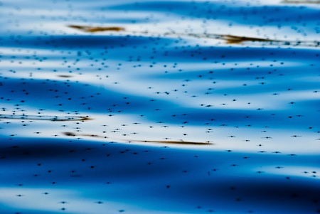 water textureの写真素材