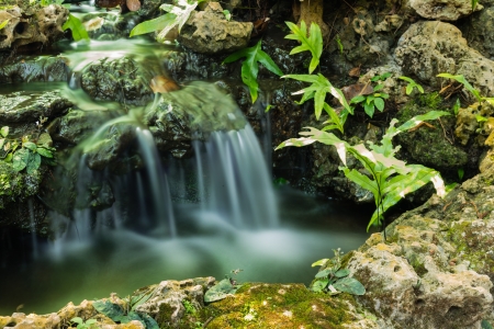 green leaf on ground of stone with waterfall in backgroundの写真素材