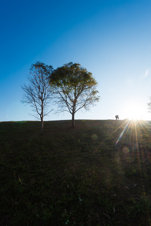 silhouette of people and tree  on hill with sunrise and lens flare effectの写真素材