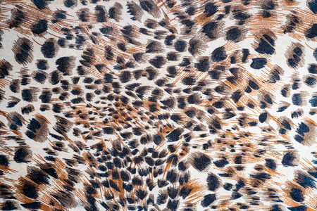 texture pattern abstract background of canvasの写真素材