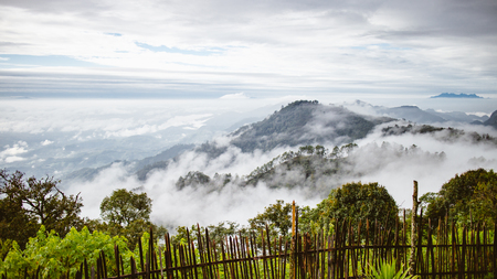 mountain with misty fog in thailand morning timeの写真素材