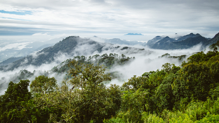 mountain with misty fog in thailand morning timeの写真素材