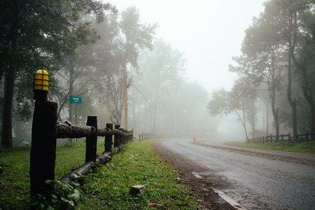 Road through forest with fog and misty countryside in thailand raining dayの写真素材
