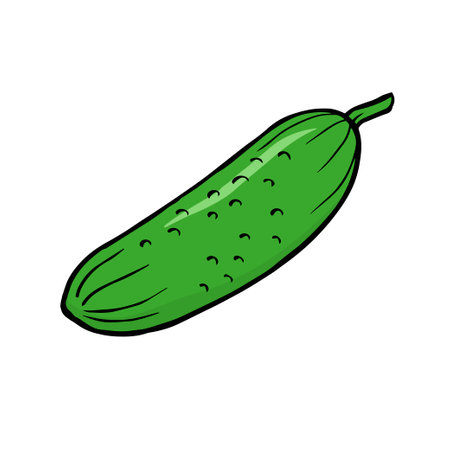Illustration outline green cucumbers on white backgroundのイラスト素材