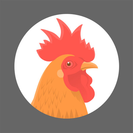 Head portrait of a rooster on a white backgroundのイラスト素材