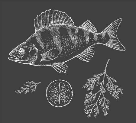 Fish perch with lemon and dill on a black backgroundのイラスト素材