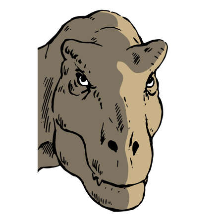 Head of a terrible tyrannosaurus with predatory eyesのイラスト素材