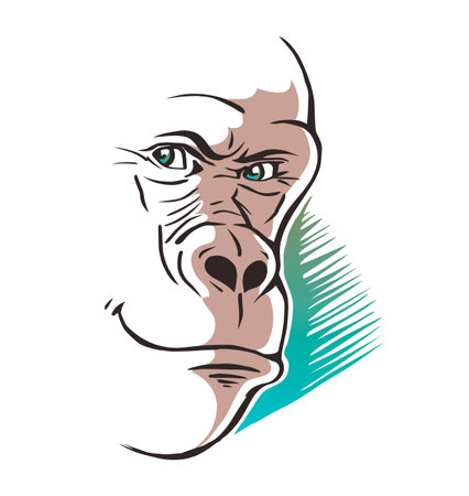 Illustration of a sketch of a gorilla face on a white background