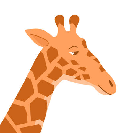 Cartoon giraffe on a white background. head animal. African herbivore mammal. zoo and safari. Vector isolated baby illustrationのイラスト素材