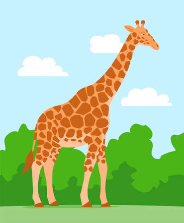 Cartoon cute giraffe on nature background. African herbivore mammal. zoo and safari. Vector isolated baby illustrationのイラスト素材