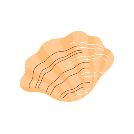 Snail seashell. marine underwater twisted seashell. spiral shape. Undersea mollusk. animal and...