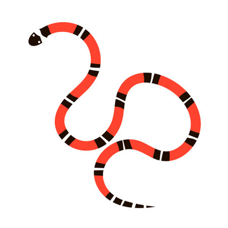 Poisonous colorful snake aspid. An exotic reptile with a red striped pattern. Wild tropical animal....