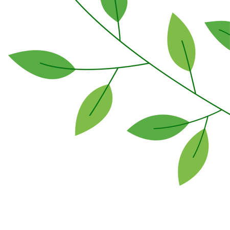 Green branch of a tree. Natural banner with plant leaves. nature and flora. Vector flat illustration isolated on white backgroundのイラスト素材