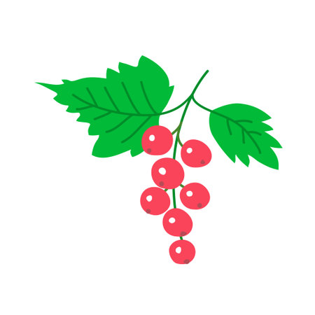 Red currant with leaves. Bunch of fresh berries. summer harvest. Healthy food rich in vitamins....