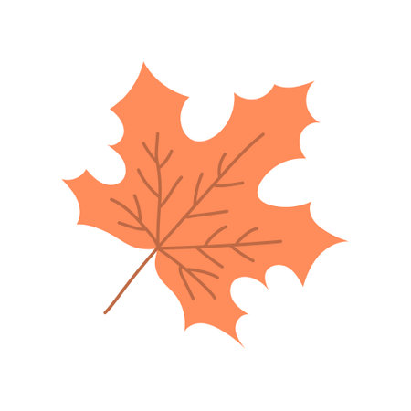 One orange maple leaf. maple tree. nature and plants. autumn season. Flat vector illustration isolated on white backgroundのイラスト素材