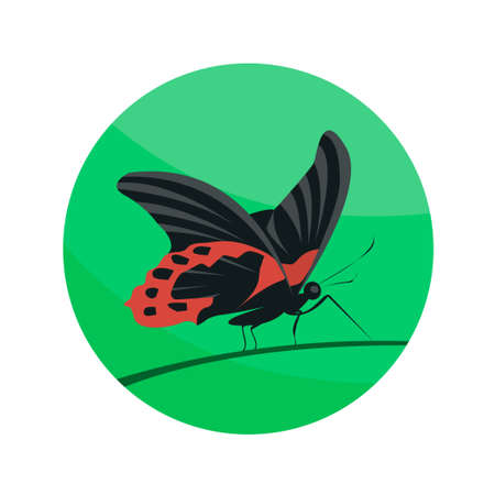 Tropical black and red butterfly. Sitting on the grass. Beautiful flying insect. vector illustration. green round backgroundのイラスト素材