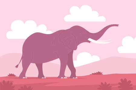 African elephant with trunk and tusks. Large herbivorous mammal. Zoo wild animal. wild savanna landscape. wildlife and zoo. nature and fauna. cartoon vector illustrationのイラスト素材