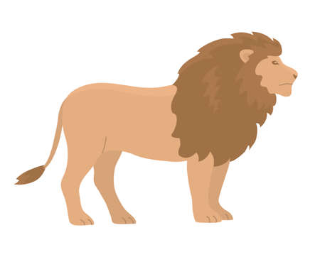 Lion with a mane. big cat hunter. Predatory animal mammal of Africa. king lion. fauna and zoology. Cartoon vector illustration isolated on white backgroundのイラスト素材