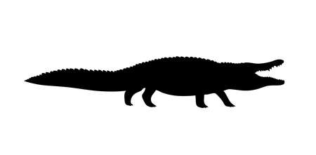 Crocodile with open mouth. black silhouette. Toothy alligator, caiman. Predators of Africa. big animal reptile. Design template for label, sign. Vector illustration isolated on white backgroundのイラスト素材