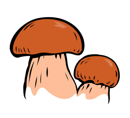 Porcini sketch. Edible forest mushroom. Brown mushroom cap. Delicious nutritious natural food. Healthy ingredient for cooking. Cartoon vector art illustration on white background. hand drawn styleのイラスト素材